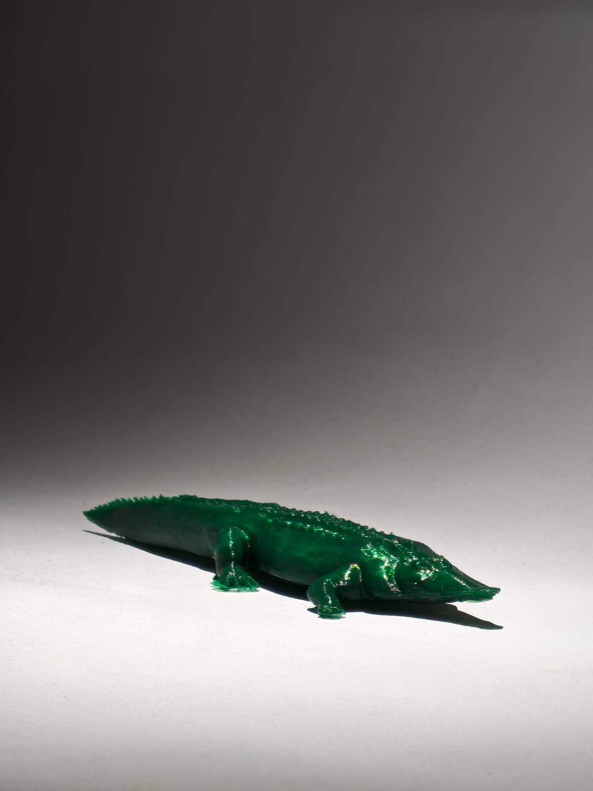 Crocodile — View 1