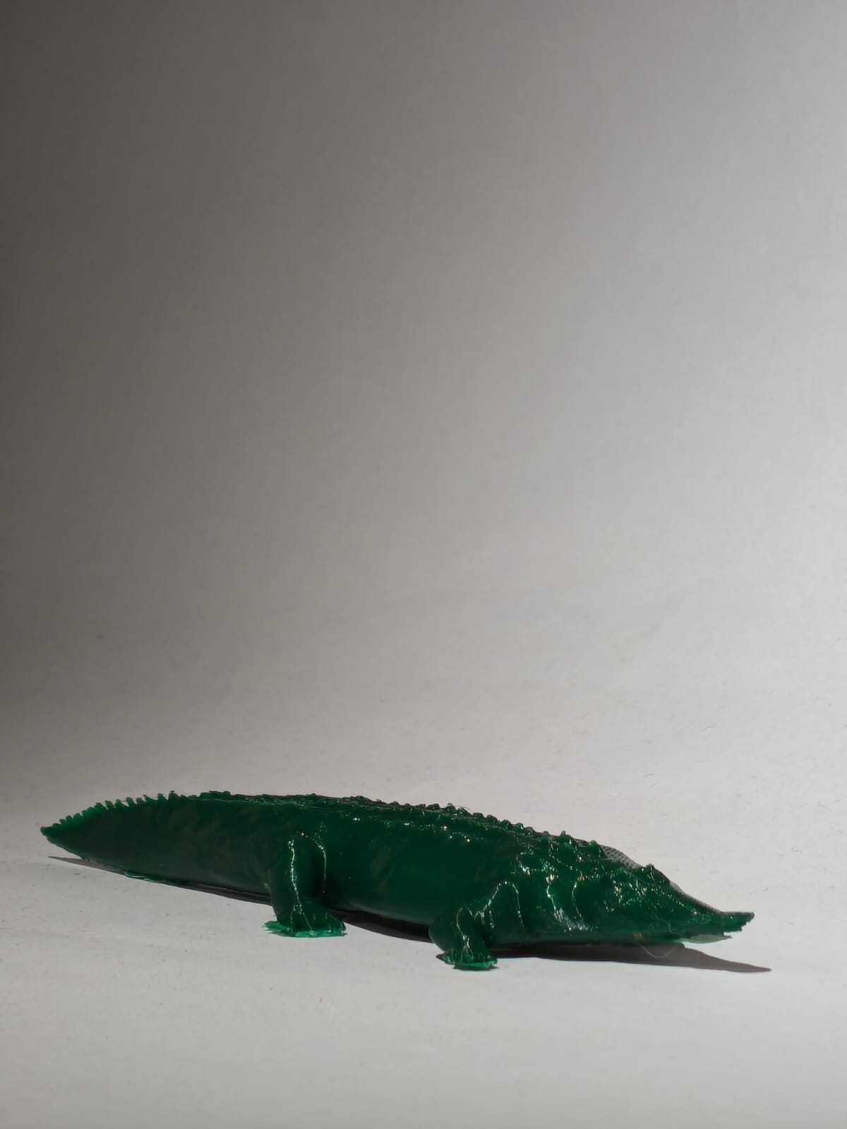 Crocodile — View 2