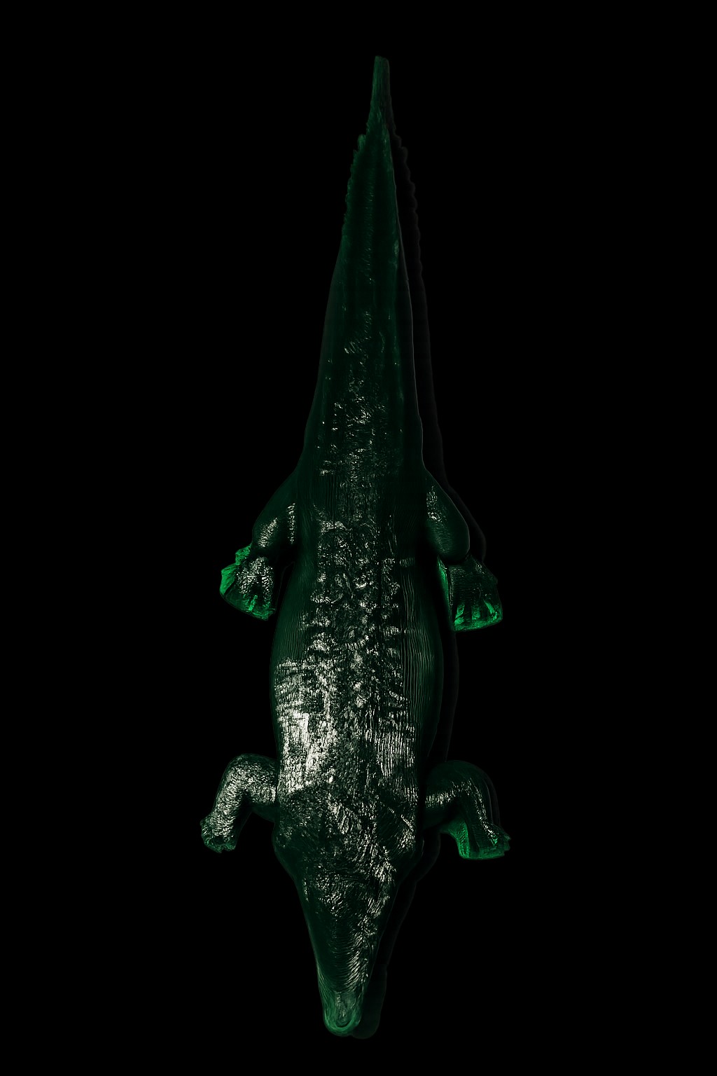 Crocodile — View 3