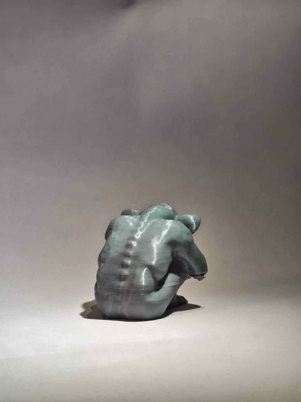 The Last Guardian — Back View